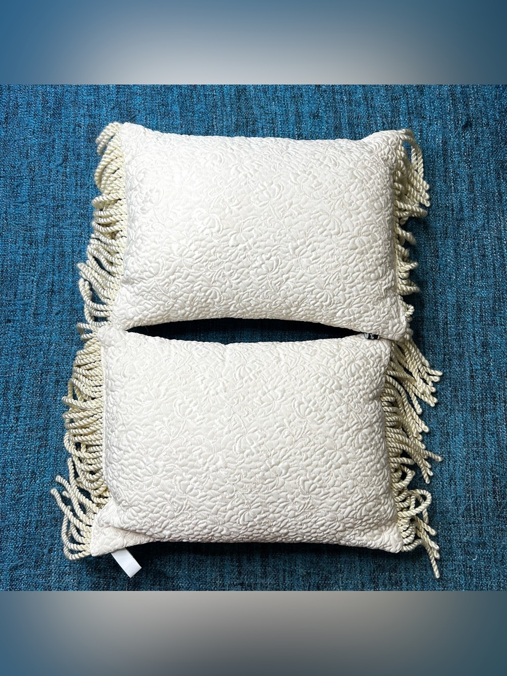 Vintage Newport Elegant Fringe Throw Pillows Set of 2 Ivory Floral Lumbar 15x11